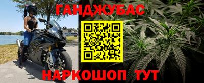 гашик Ливны