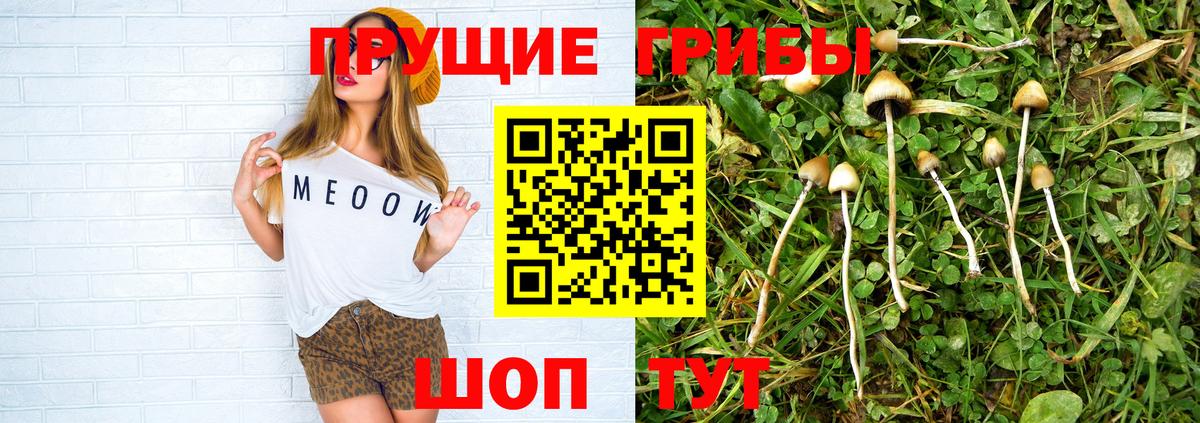 Псилоцибиновые грибы прущие грибы Изобильный