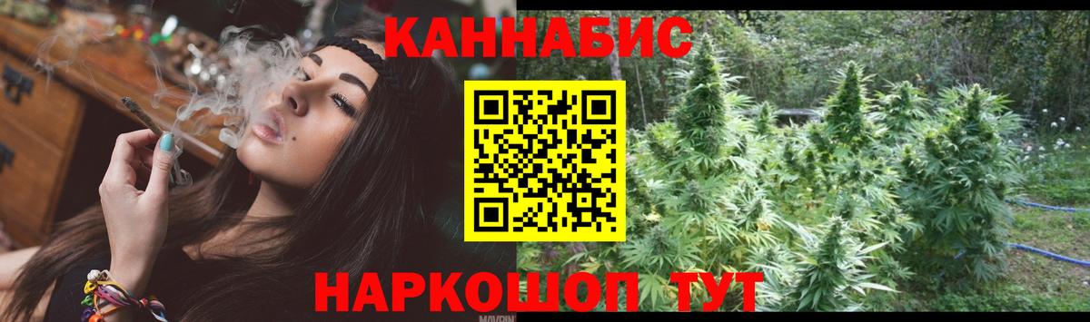 Канабис план Изобильный
